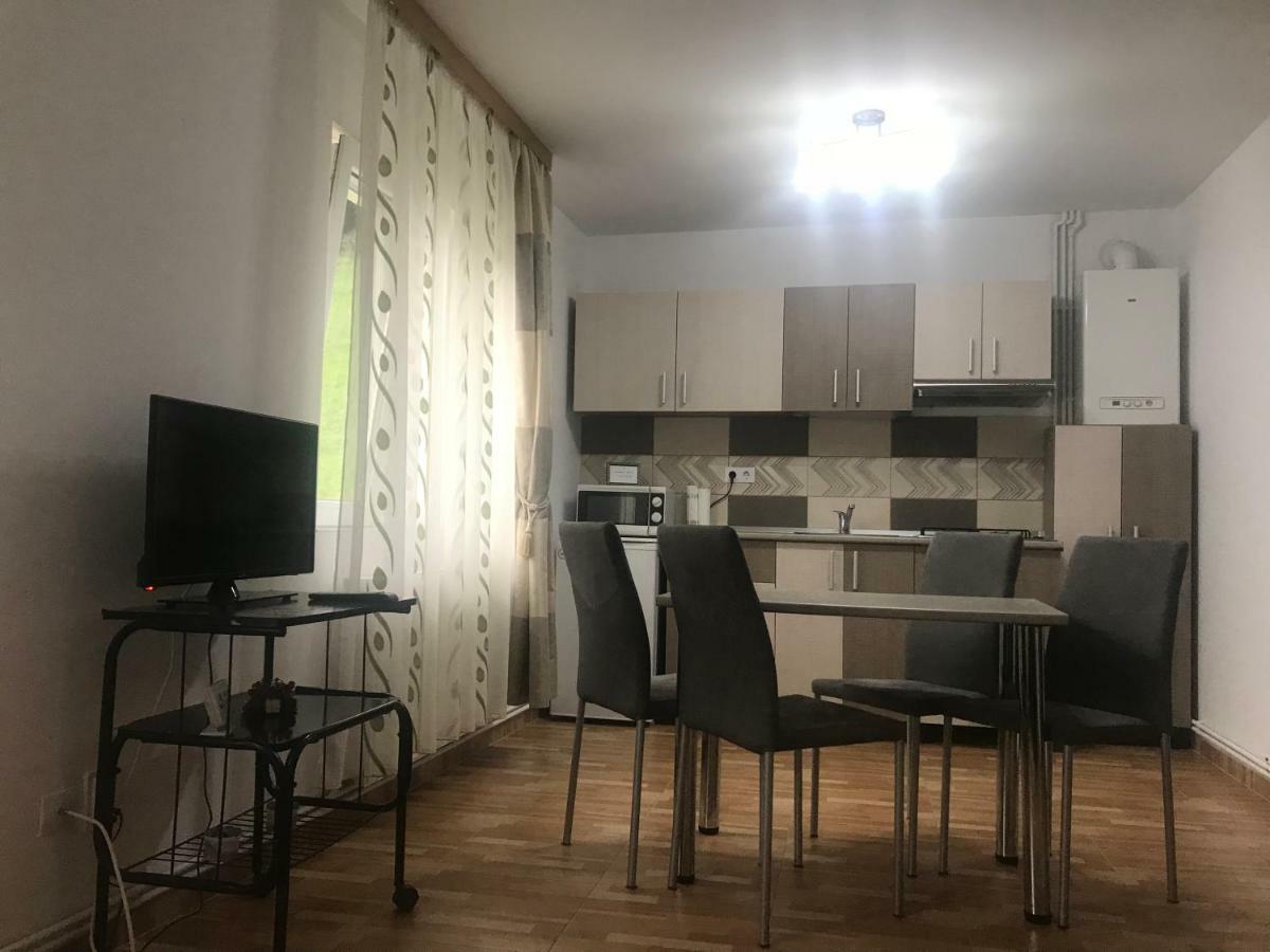 Apartamento Garsoniera Family Buşteni Exterior foto